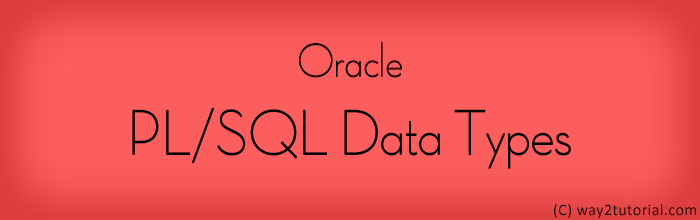 PL/SQL Data Types