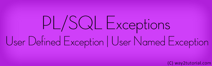 PL/SQL Exceptions